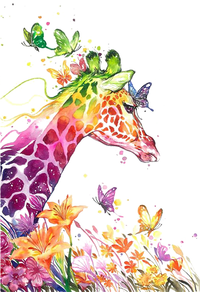 diseño de ilustraciones
